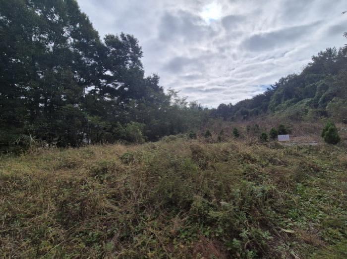 전경