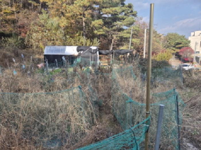 목록2 비닐하우스