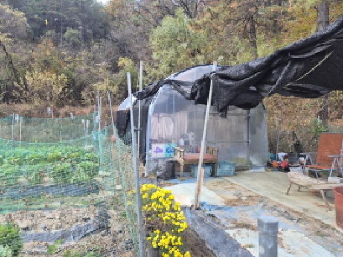 목록2 비닐하우스
