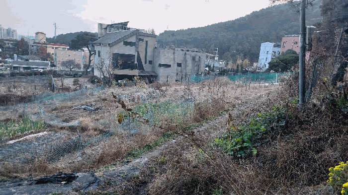 본건 전경(북측촬영)