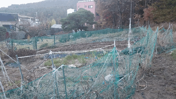 본건 서측촬영