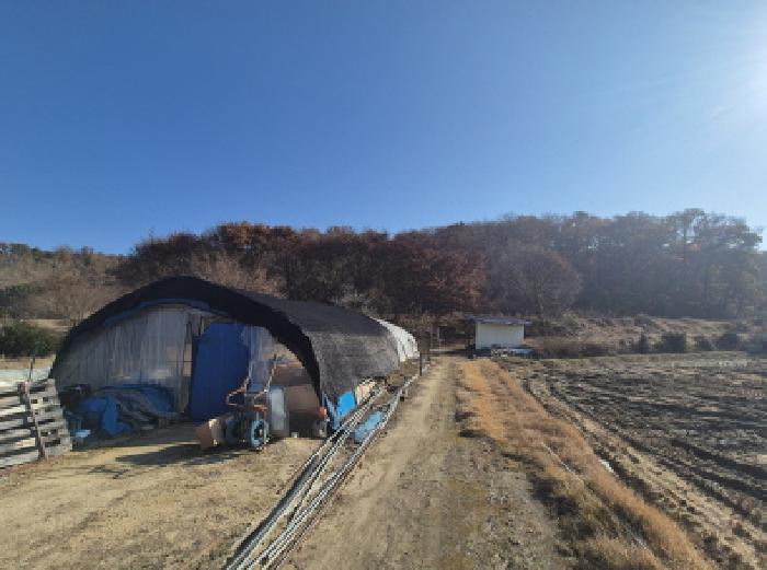 마을에서 바라본 전경