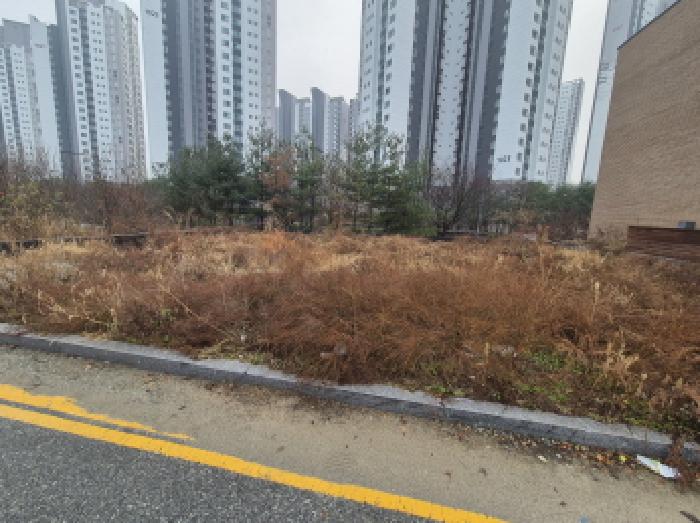 전경