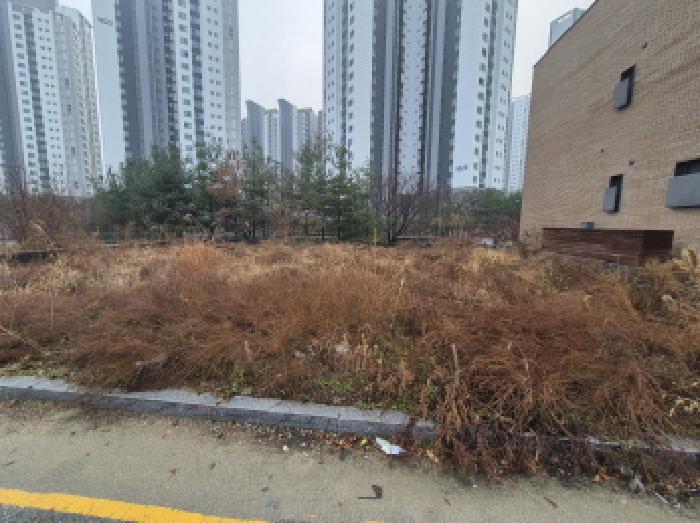 전경