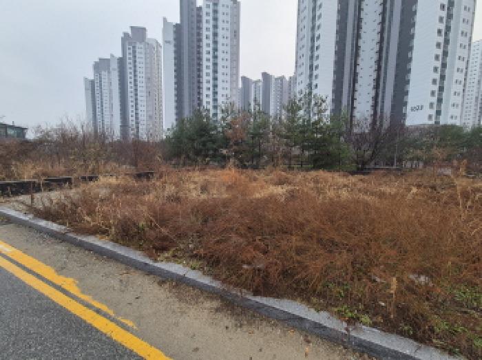 전경