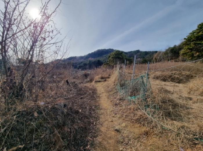 전경(동쪽에서 서쪽)