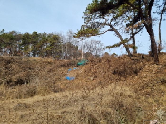 전경(서남쪽경계선 부근에서 북쪽)