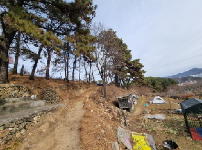 전경(남쪽 경계선에서 동북쪽)