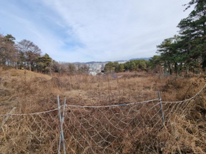전경