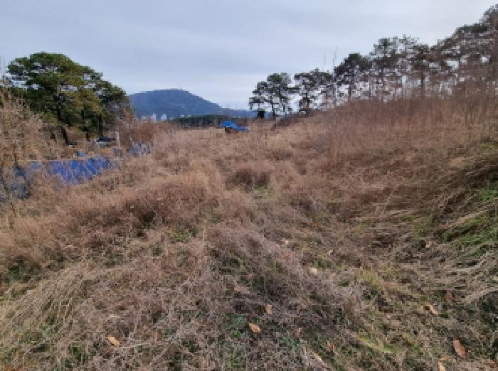 전경