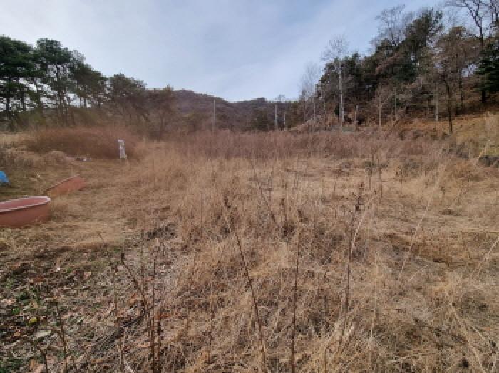 전경