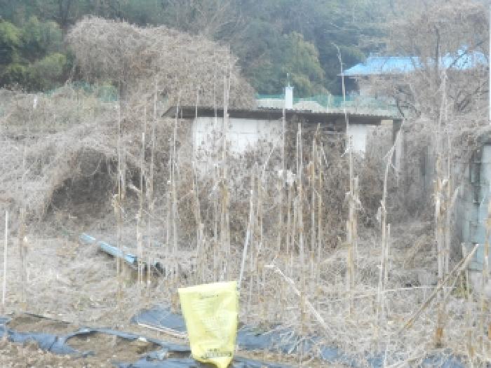 목록1 공터