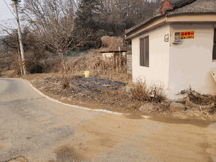 본건