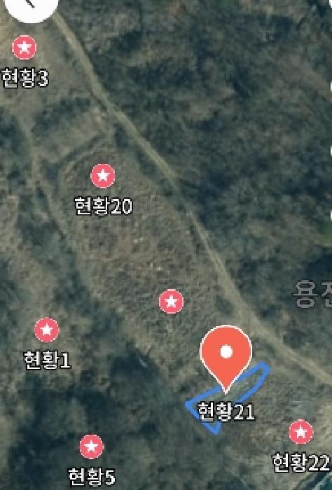 목록21 위성지도 모습