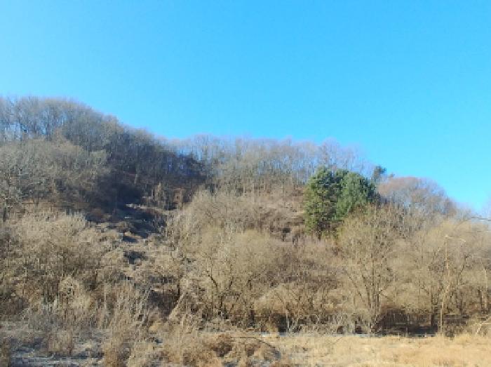 목록1,5,19,23,25 토지 모습1