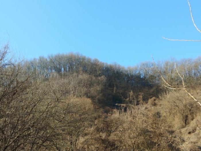 목록1,5,19,23,25 토지 모습2