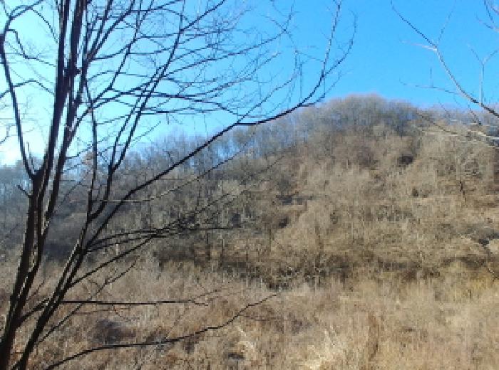 목록1,5,19,23,25 토지 모습5