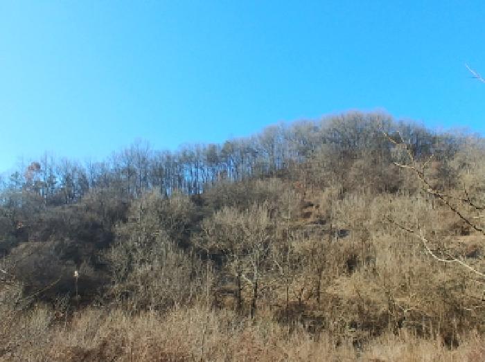 목록1,5,19,23,25 토지 모습6