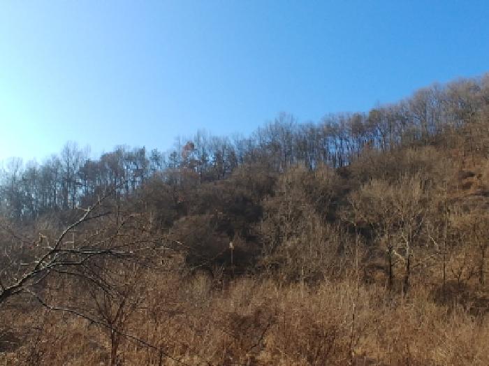 목록1,5,19,23,25 토지 모습7