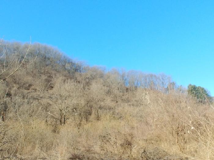 목록1,5,19,23,25 토지 모습9