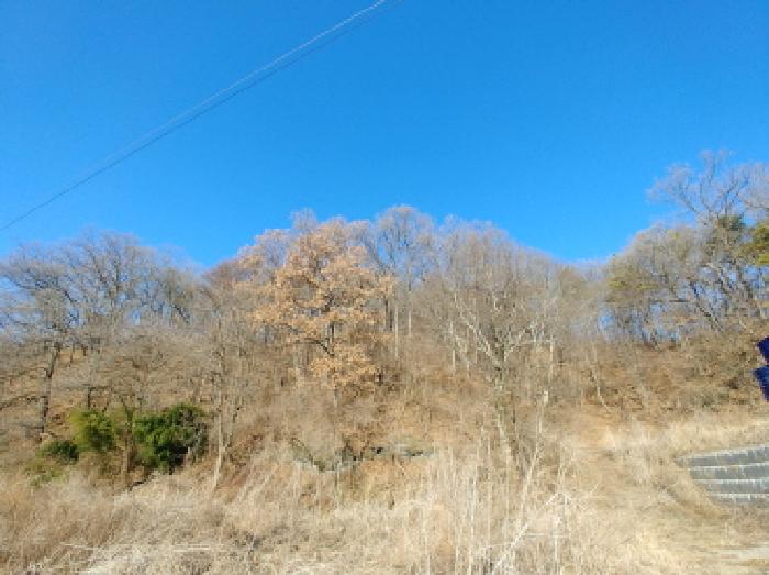 목록1,5,19,23,25 토지 모습14