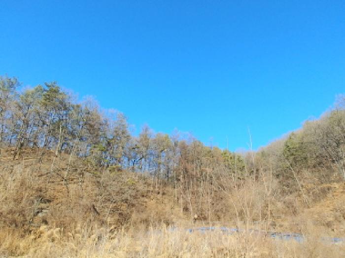목록2,9,26 모습7