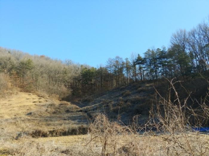 목록17 모습2