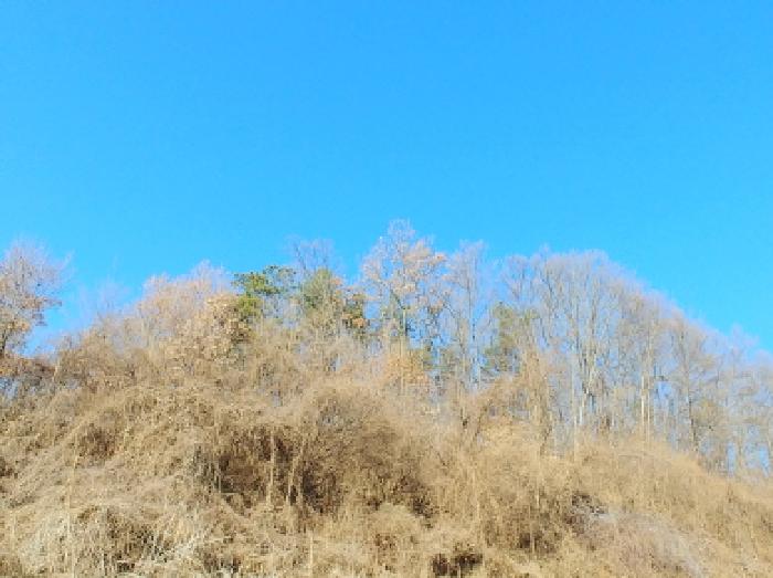 목록4,6,7,8,11,13,14,16,18,24,28 모습4
