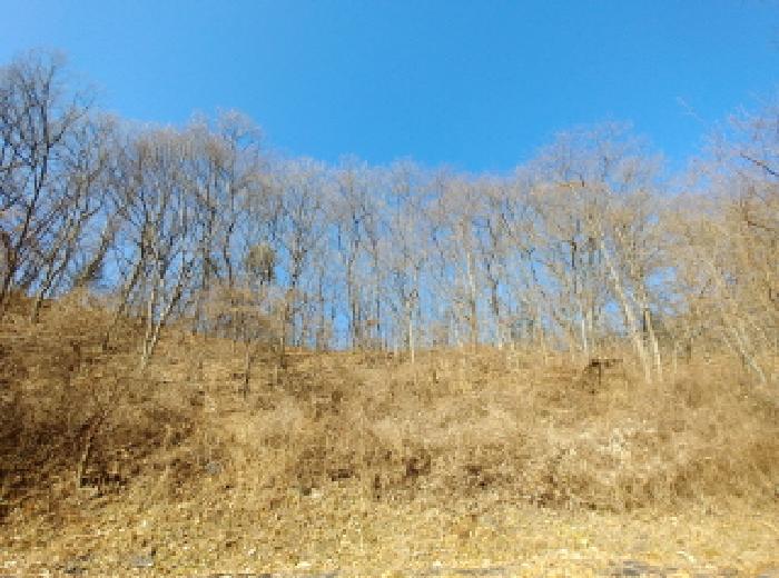 목록4,6,7,8,11,13,14,16,18,24,28 모습10