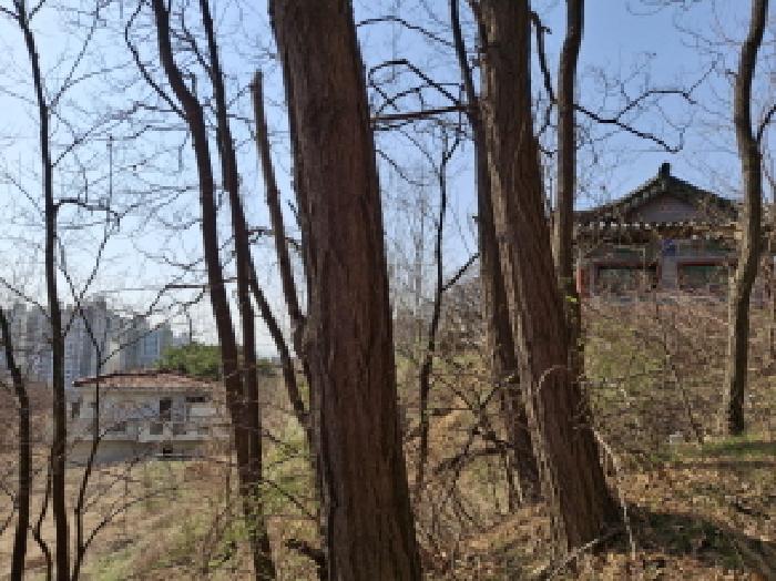 목록16 모습