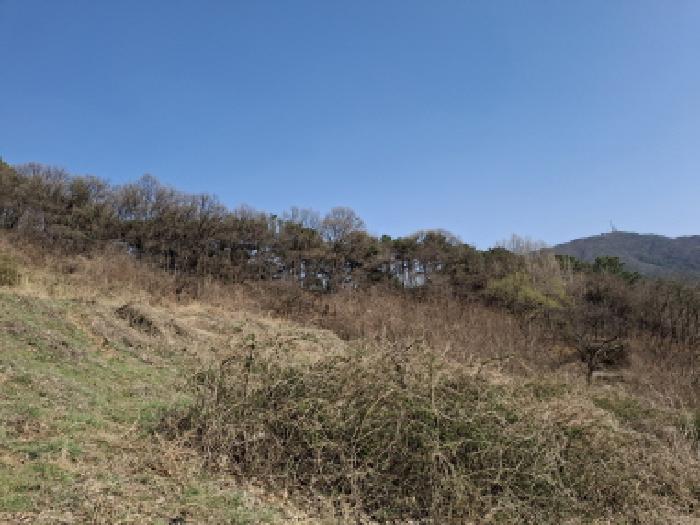 목록20 모습