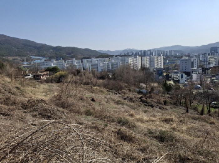 목록19 모습
