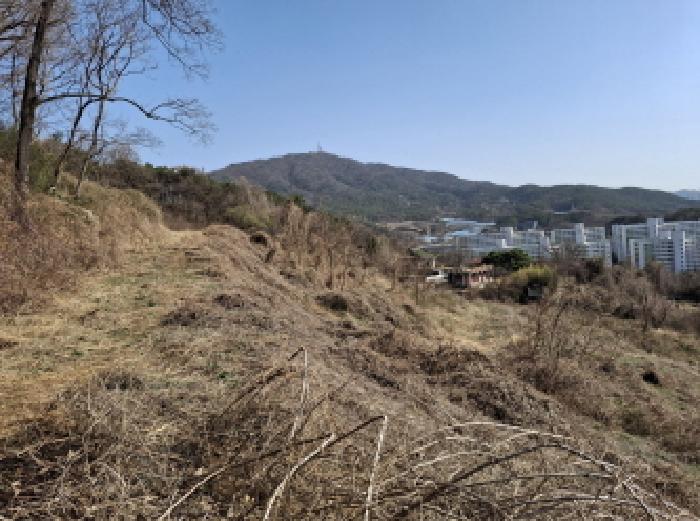 목록19 모습