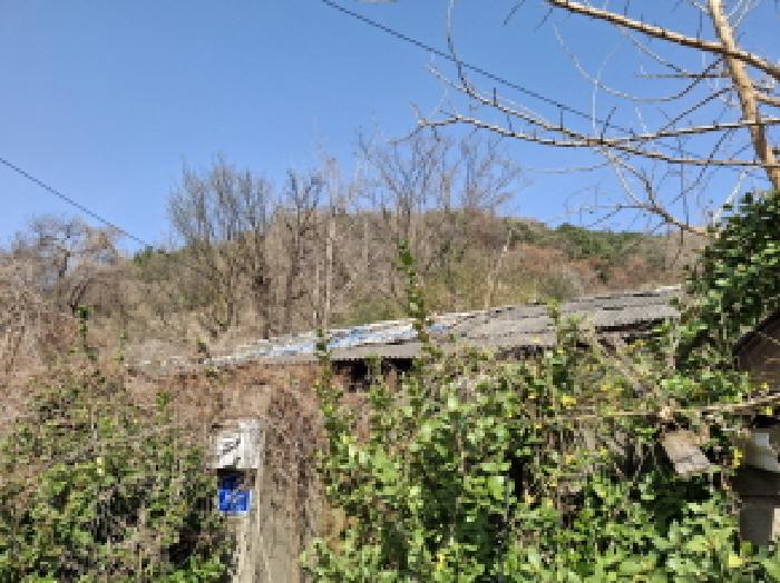 목록7 제시외 건물