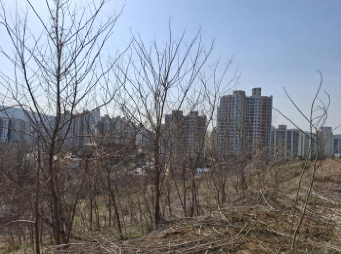 목록1 모습