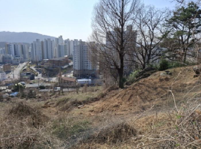 토지들 모습