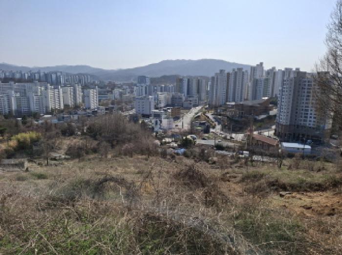 토지들 모습