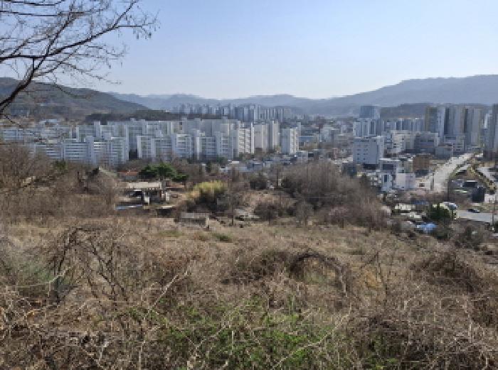 토지들 모습