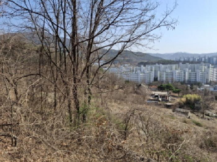 토지들 모습