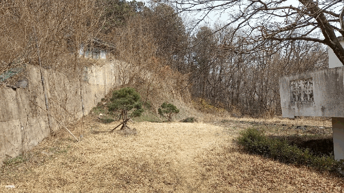 기호(16)