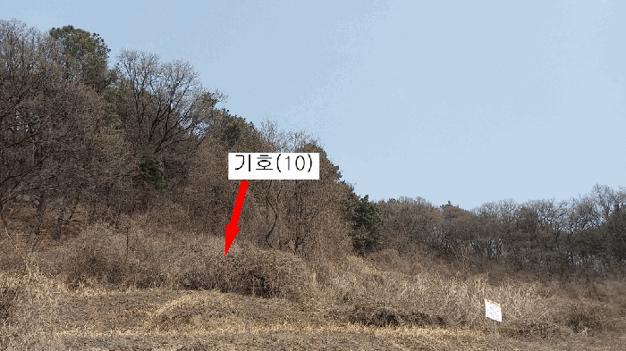 기호(10) 전경