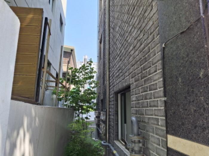 건물좌측(제시외수목)