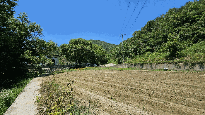 기호1) 주변 전경