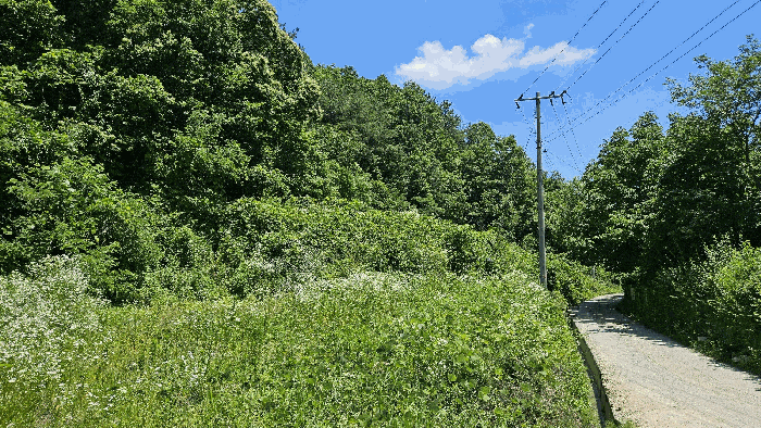 기호1) 북서측 전경