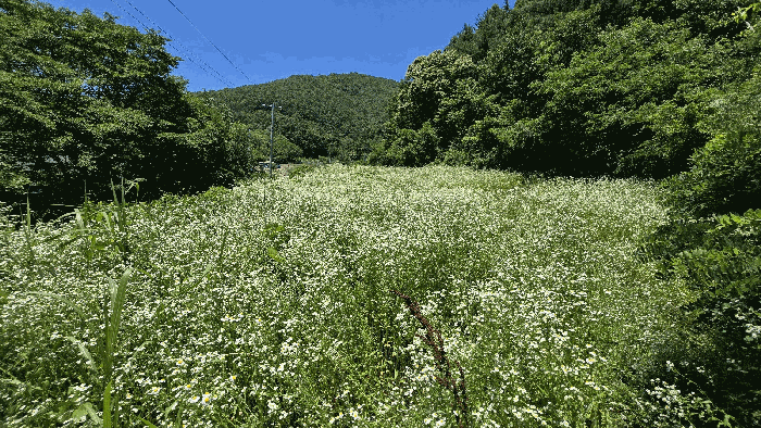 기호1) 남동측 전경