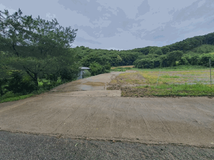 본건전경