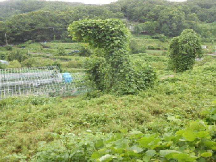 목록2 전경