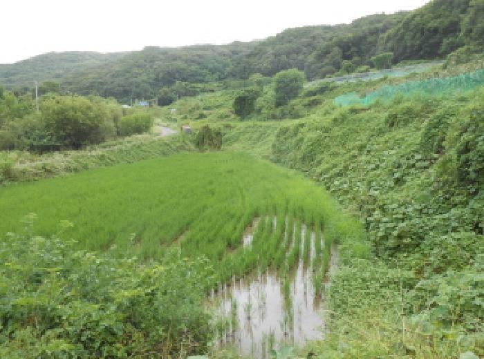 목록1 전경