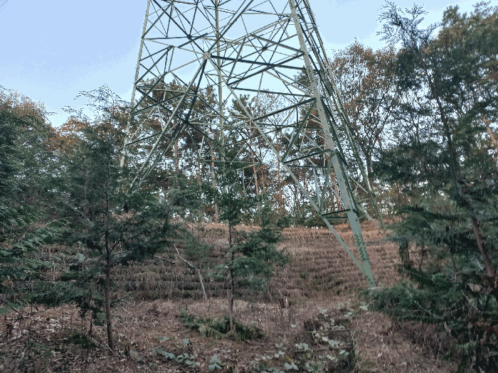 본건 내부 소재 송전탑 촬영
