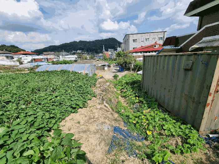 본건 전경